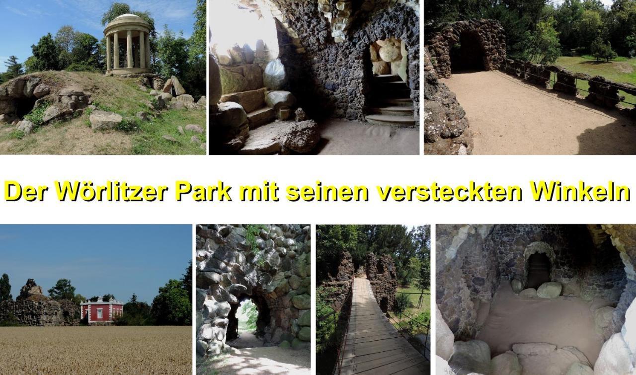 Die Ferienwohnung - Wittenberg An Den Elbwiesen Екстер'єр фото