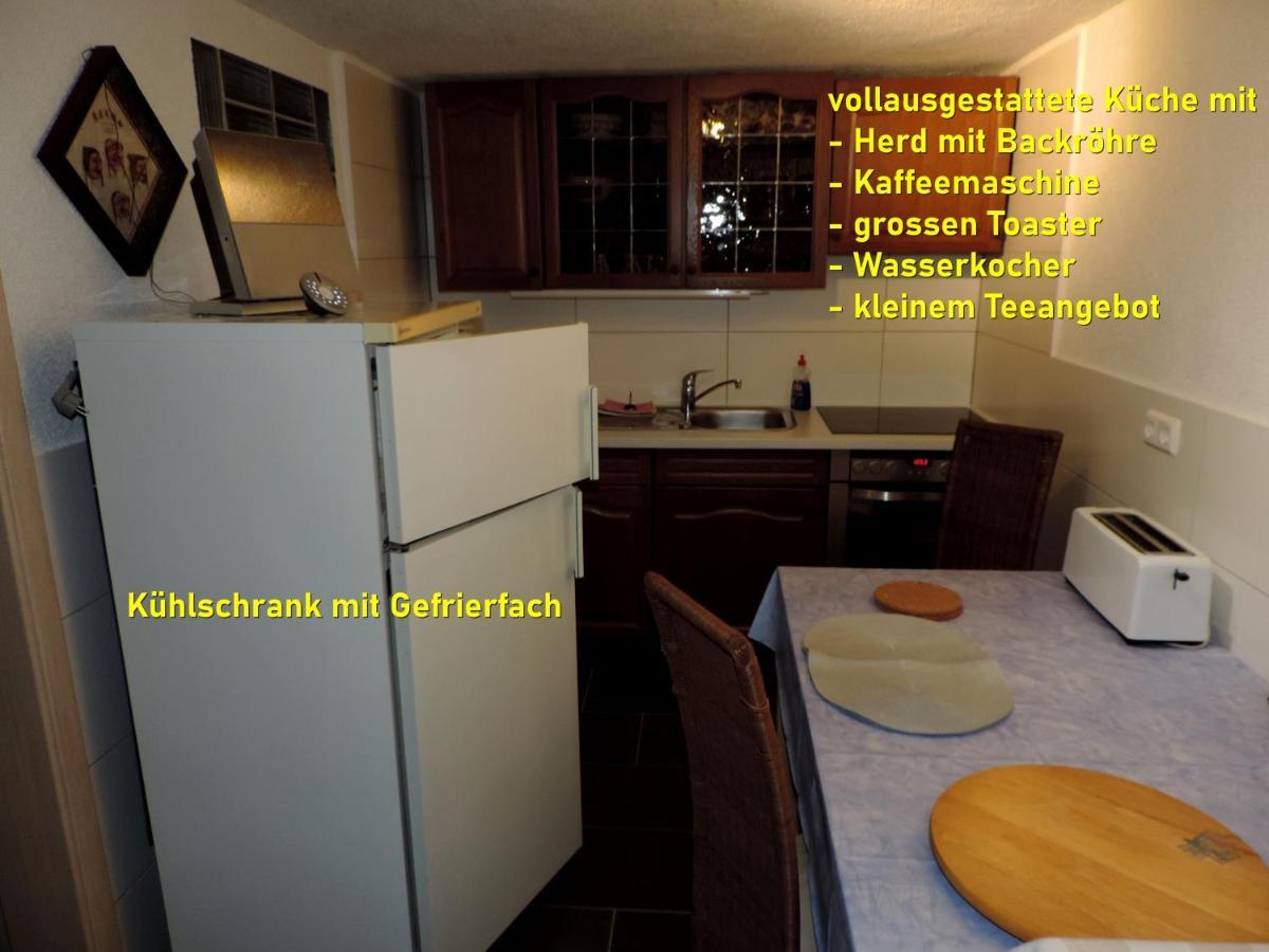 Die Ferienwohnung - Wittenberg An Den Elbwiesen Екстер'єр фото