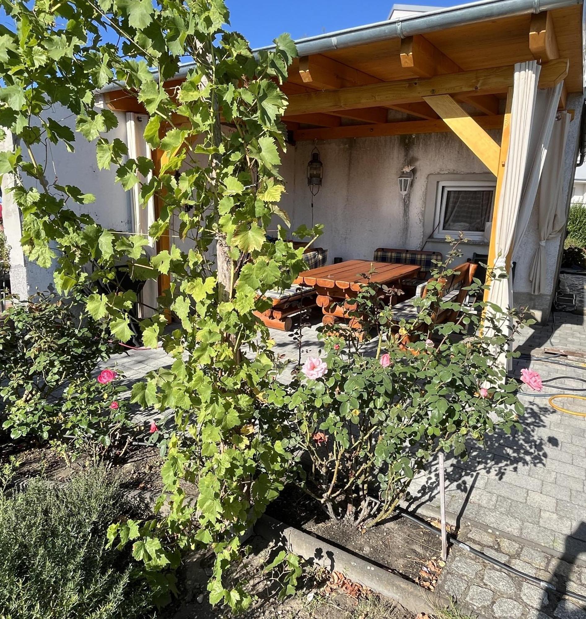 Die Ferienwohnung - Wittenberg An Den Elbwiesen Екстер'єр фото