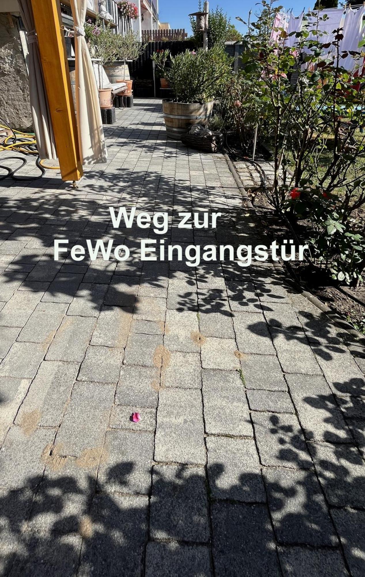 Die Ferienwohnung - Wittenberg An Den Elbwiesen Екстер'єр фото